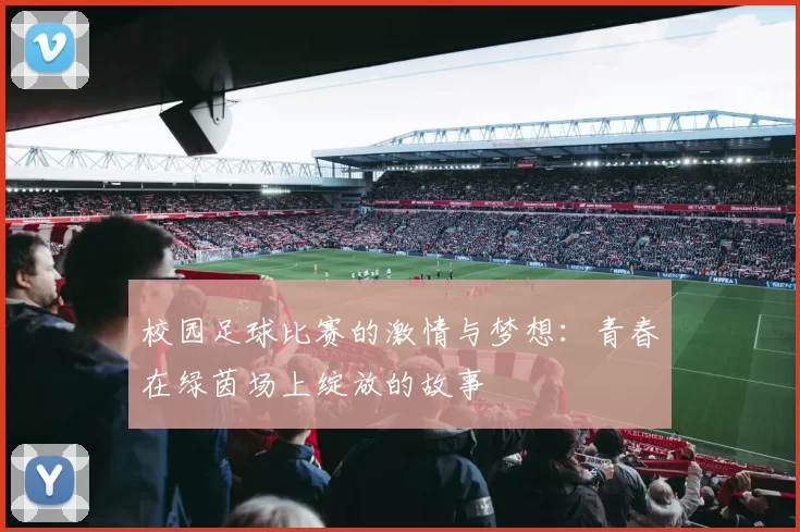 校园足球比赛的激情与梦想：青春在绿茵场上绽放的故事